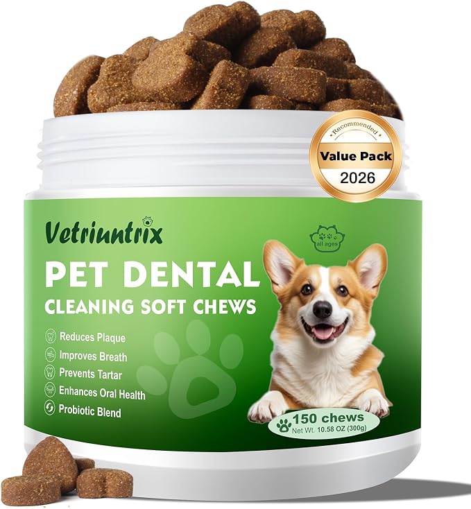 Teeth Cleaning Chews for Dogs, Dog Dental Soft Chews for Plaque & Tartar Control with Natural Enzymes, Dental Care for Dogs Fresh Breath with Probiotic