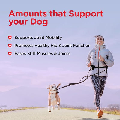 Nutri-Vet Hip & Joint Biscuits for Dogs, Dog Hip & Joint Supplement, Functional Treat, Large Sized Biscuit, 300mg of Glucosamine, 6 lb Bag