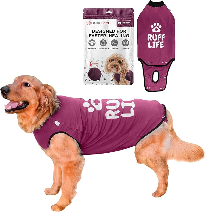BellyGuard Dog Surgery Recovery Suit, Post-Op Dog Recovery Suit for Female Spay & Male Neuter, Comfy Onesie for Pets, Surgical Body Cover for Canine Healing Support