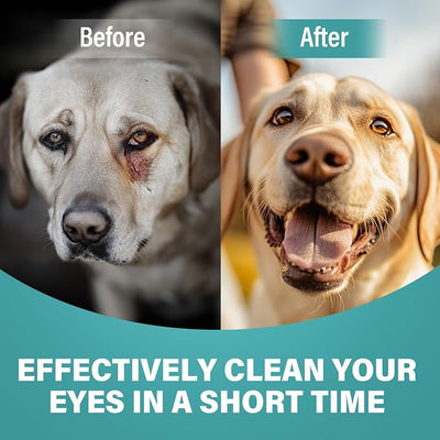 Cataract Drops for Dogs - Pet Gel Dog Eye Drops for Soothing Eye Discomfort, Reducing Tear Stains, and Supporting Eye Health, Gentle Formula for All Animals (2 X 20 ml)