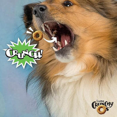 Fromm Crunchy Os Pumpkin Kran Pow Dog Treats - Premium Crunchy Dog Treats - Turkey Recipe - 6 oz