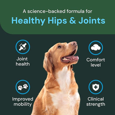VETRISCIENCE Veterinary Strength Healthy Hip & Joint Chews - Joint Health Supplement for Dogs - Supports Mobility & Flexibility - 60 Count