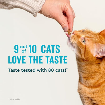 VetIQ Cat Probiotics Supplement – Probiotic, Prebiotic & Postbiotic Cat Supplements, Digestive & Gut Health Support, Constipation & Diarrhea Relief, Chicken Flavored, 3.7 oz