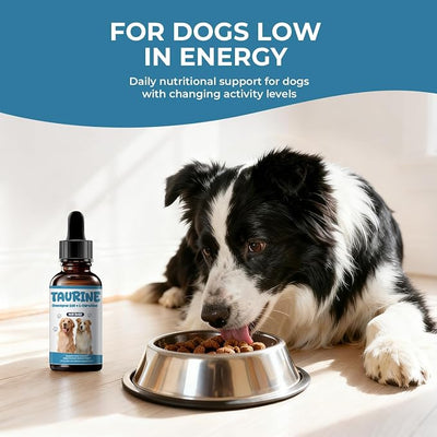 Taurine Supplement for Dogs Liquid Drops, Dog Taurine with Coenzyme Q10 & L-Carnitine, Supports Heart Function, Energy & Daily Vitality, 2 fl oz