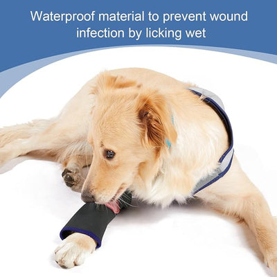 Coodeo Dog Recovery Suit, Cone Collar Alternative, Abrasion Resistant Dog Recovery Sleeve, Washable 2.5mm Thick and Waterproof, Pet Wounds Prevent Licking, Bite, Keep Dry（Grey，2XL