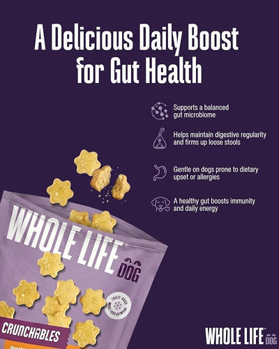 Whole Life Dog – Crunchables Dog Treats for Gut Health & Digestive Support, Constipation Relief, Digestive Health & Immune Support for Sensitive Stomachs, Pumpkin & Yogurt Crunchy Treats