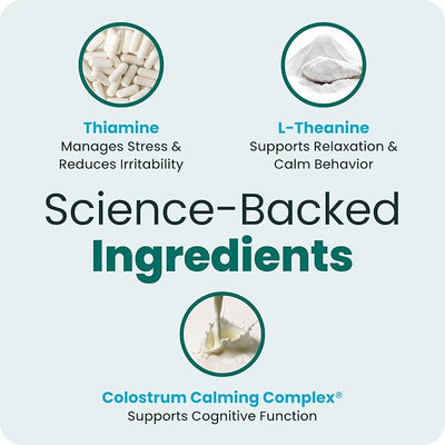 VetriScience Calm & Confident Chews, Composure Clinically Tested Calming & Anxiety Supplement for Dogs, Reduce Stress & Fear, Ideal for Thunderstorms, Fireworks & Travel, Peanut Butter, 120 Count