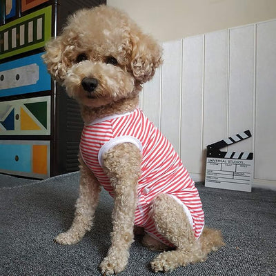 Dog’s Recovery Suit Post Surgery Shirt for Puppy, Wound Protective Clothes for Little Animals(red White Stripe-XXS)