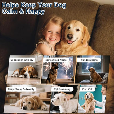 Calming Chews for Dogs, Dog Calming Chews-Melatonin for Dogs, Dog Melatonin Bites Sleep Aid Calm with Noise,Thunder,Barking,Separation(Chicken Flavor, 250 Chews)