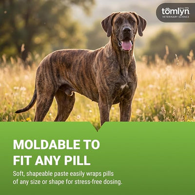 TOMLYN Pill-Masker Original Bacon-Flavored Paste for Dogs & Cats, 4oz