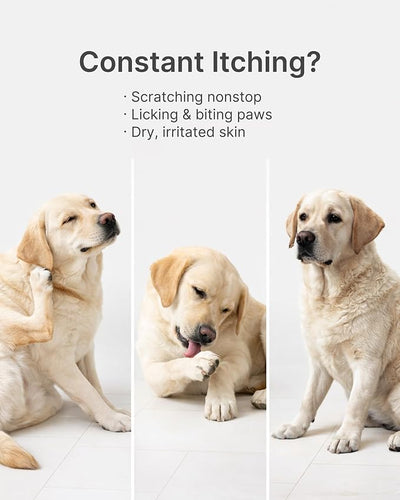 Dog Itch Relief Chews for Dogs – Itchy Paws & Paw Licking Support, Anti Itch Soft Chews for Itchy Skin, Daily Skin & Coat Supplement, 120 Chews