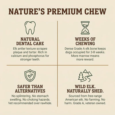 Heartland Elk Antlers for Dogs - Daily Dental Care Chews for Aggressive Chewers to Reduce Plaque & Prevent Destructive Behavior (Splinter Free, Split, 9", Giant, 1-Pack, Grade A, USA Made)