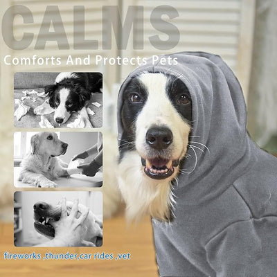 SCENEREAL Dog Hoodie Sweaters for Small Medium Large Size Dogs, Fleece Pet Sweatshirt with Hat and Pocket,Soft Cold Winter All Weather Puppy Clothes for S to XL Sized Dogs,Grey (M)