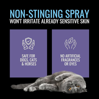 NOVEHA 1% Hydrocortisone Spray for Dogs, Cats, Horses – Hot Spot Treatment & Itch Relief for Pets – Advanced Formula Soothes Itch, Hot Spots, Dermatitis, Irritated Dry Itchy Skin & Allergies – 120mL