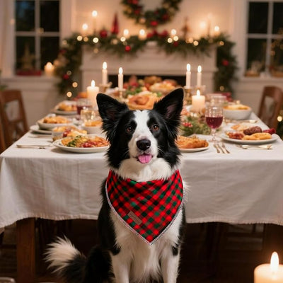 Unique style paws Dog Bandana, Christmas Plaid 1PC Washable Square Dog Scarfs for Small Medium Large Dogs Adjustable Dogs Bib Scarfs for Girl or Boy Dogs
