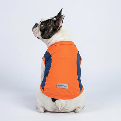 Fitwarm 2 Pack UPF 50+ UV Sun Protection Dog Shirt, Quick Dry Summer Dog Clothes for Small Dogs Boy Girl, Reflective Label, Lightweight Breathable Cooling Vest, Pet Cat Outfit, Orange, Blue, XS
