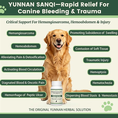 Quick Stop Bleeding for Dogs, Natural Yunnan Sanqi Capsules for Hemangiosarcoma, Hemoabdomen, Pericardial Effusion, Cancer Bleeding, Severe Bruising, Ulcer-Related Bleeding, Bloody Stools-90 Capsules