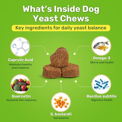 Puyrzoe Yeast Infection Treatment for Dogs, Itchy Skin, Paw Licking, Ear Odor & Allergy Relief, Natural Dog Yeast Infection Treatment, 200 Soft Dog Yeast Treatment Chews with Probiotic, Chicken Flavor
