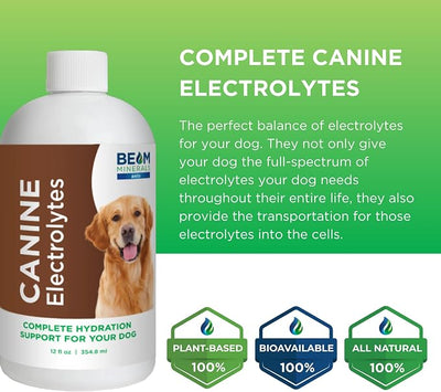 Beam Minerals Complete Canine Electrolytes | Full-Spectrum Electrolytes for Dogs | 12 Fl Oz