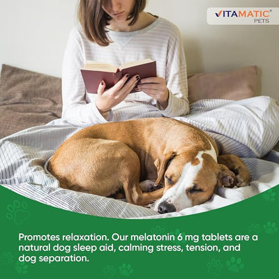 Vitamatic Melatonin for Dogs - 6 mg - 120 Beef Flavored Chewable Tablets ((Pack of 1))