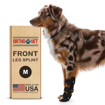 Standard Front Leg Brace for Dogs with Injuries, Arthritis, or Licking Prevention, Durable & Lightweight Post-Surgery Protection for Pets - M