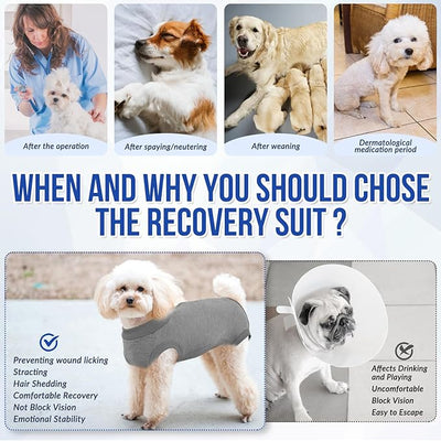 SlowTon Dog Recovery Suit - Surgery Recovery Suit for Female Male Dogs, Dog Onesie After Spay Abdominal Wounds, E-Collar Cone Alternative Prevent Licking Pet Surgical Suit(Grey,S)