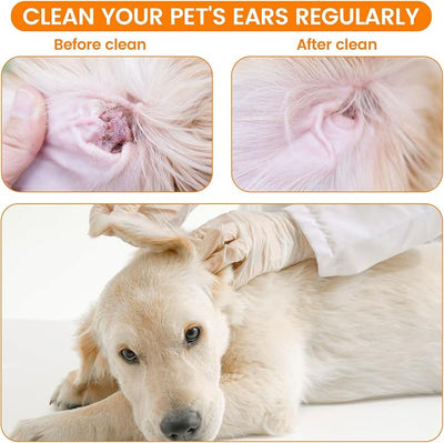 300 PCS Large Cotton Swabs in Storage Box - 6 inch Big Dog Ear Cleaning Swabs with Bamboo Handle - Extra Large Soft and Thick Cotton Buds Specially Designed for Pet Care
