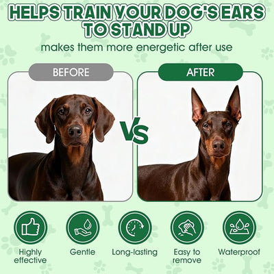 Pet Ear Taping Glue, Doberman Ear Posting Kit, Dog Ear Posting Kit with Ear-Up Cotton Swabs, Long-Lasting and Non-Detachable Adhesive, Suitable for Daily Care of All Dog Breeds
