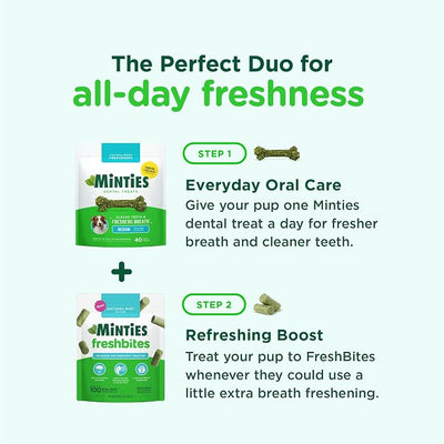 Minties Large Dog Dental Bone Treats, 24 Count FreshBites Soft and Chewy Dental Treats for Dogs, 50 Count
