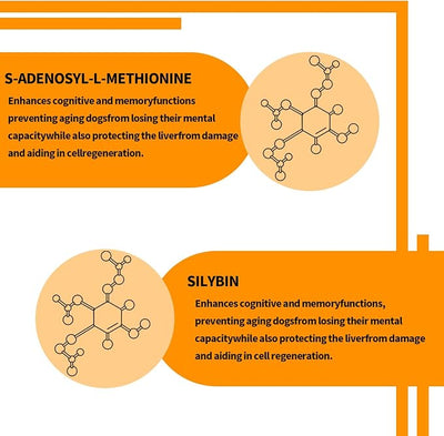 Same and Silybin for Dogs - S-Adenosyl-L-Methionine, Same for Dog, Liver Supplements for Large Dogs, Hepatic Supplement for Liver & Brain, Dog Liver Support (Same+Silybin), All Dogs (Under 120 lbs)