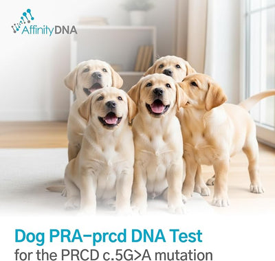 Dog Pra-prcd DNA Test | Home Sample Collection Kit for 1 Canine | Puppy Progressive Retinal Atrophy Test Kits | Results in 7 Working Days | A Complete Kit with No Extra Fees