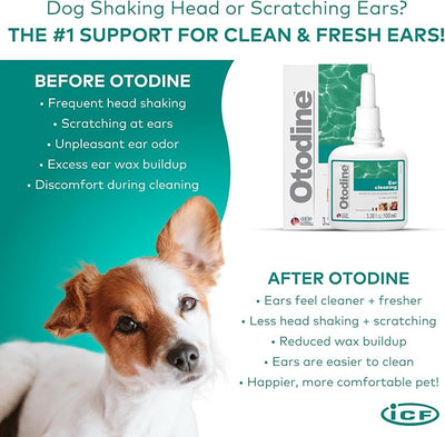 ICF Otodine Dog Ear Cleaner Solution Drops for Itchy Ears, Infections, Head Shaking, Scratching, Wax, Debris & Odor - Tris-EDTA Flush - Gentle & Safe for Cats & Puppies - 100ml