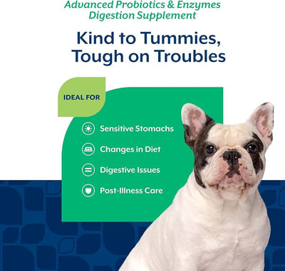 NaturVet Advanced Probiotics & Enzymes, PB6 Dog Soft Chews to Help Sensitive Stomachs and Digestive Issues, Hickory Smoked Bacon Flavored Pet Supplement for Dogs Over 6 Weeks, 120 Count Jar