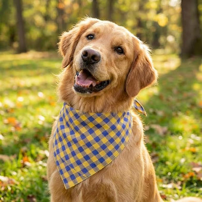 Cotton Linen Dog Bandanas 1 Pack, Plaid Checkered Bandana for Large Dogs, Soft Breathable Classic Dog Apparel & Accessories (Yellow Plaid, Large)