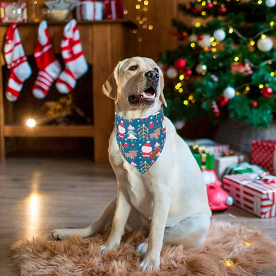 PTDECOR Christmas Dog Bandana, Reversible Holiday Xmas Pet Scarf, Multi Size, Pink Blue Christmas Bandanas for Extra Large Dogs Pets (Pink&Blue, X-Large)
