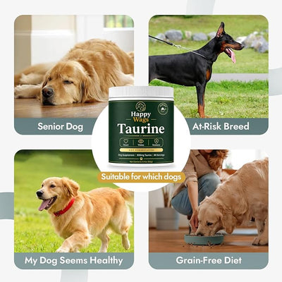 Happy Wags Taurine for Dogs - 500mg Taurine Powder Supplement for Heart, Vision, Immune & Healthy Aging Support, Tasteless Daily Dog Supplement, 100 Grams