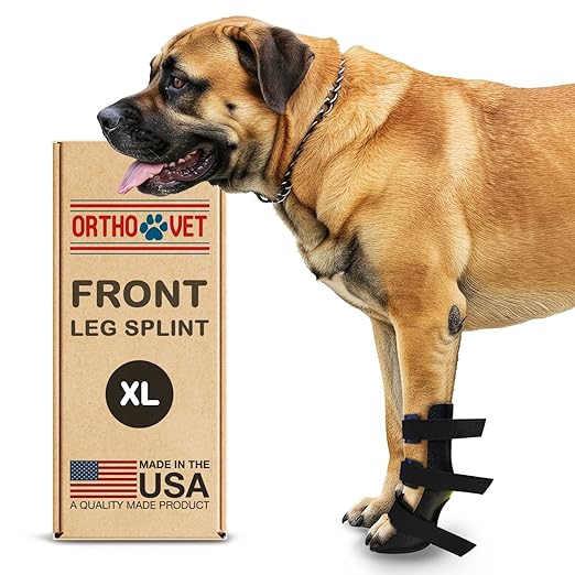 Standard Front Leg Brace for Dogs with Injuries, Arthritis, or Licking Prevention, Durable & Lightweight Post-Surgery Protection for Pets - XL