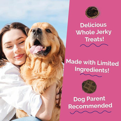 Fruitables Whole Jerky Bites, Healthy Dog Treats, Puppy Essentials, Jerky Dog Treats, Made in the USA, No Artificial Ingredients, Grilled Bison & Apple Flavor, 5oz