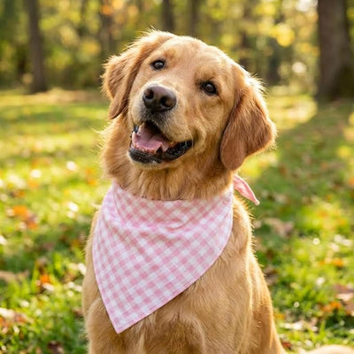 Dog Bandanas 1 Pack; Cotton Linen Pink Plaid Bandana for Large Dogs; Soft Breathable Dog Accessories; Valentines Girl Dog Bandana (Pink Gingham, Large)