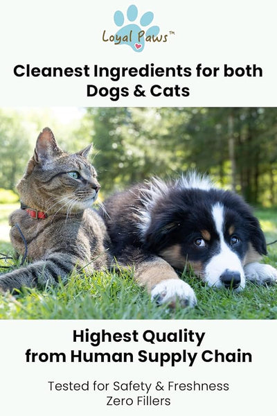 USA Made Chicken Jerky Dog Treat & Blended Functional Food Topper for Heart Health & Liver Support, for Small, Medium, and Large Dogs