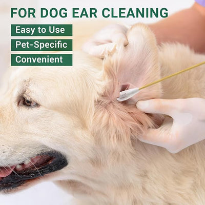 Large Cotton Swabs for Dog Ears Cleaning, Big Cotton Balls with 6 inch Bamboo Handles, 200PCS in Storage Box