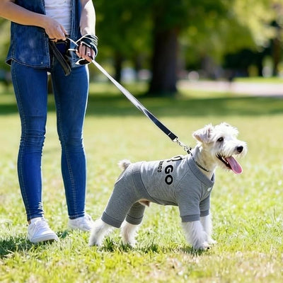 Warm Dog Winter Coat with Built-in Leash Ring, Fleece 4-Legged Sweatshirt Jumpsuit, Cute Let's Go Print Puppy Clothes for Small Dogs Boy Girl, Cold Weather Outfit