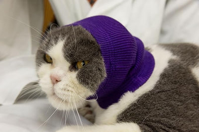 Cat Ear Wrap Safe & Sound Noise Reduction Keep Calming Anti-Anxiety Neck Gaiter for Cats Purple S