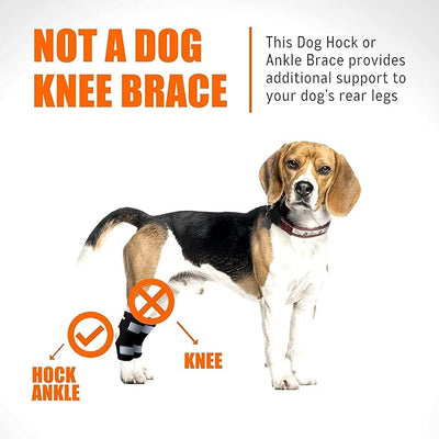 NeoAlly Cat and Dog Ankle Brace Pair Canine Rear Leg Hock Support with Safety Reflective Straps for Hind Leg Wounds Heal and Injuries and Sprains from Arthritis (M Pair)
