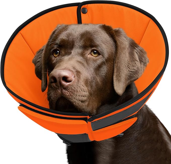 Queenmore Soft Cone for Dogs After Surgery, Dog Cones for Large Dogs to Stop Licking, Soft Dog Cone, Elizabethan Collar for Pets, Alternative Pet Recovery Collar for Wound Healing, Orange L