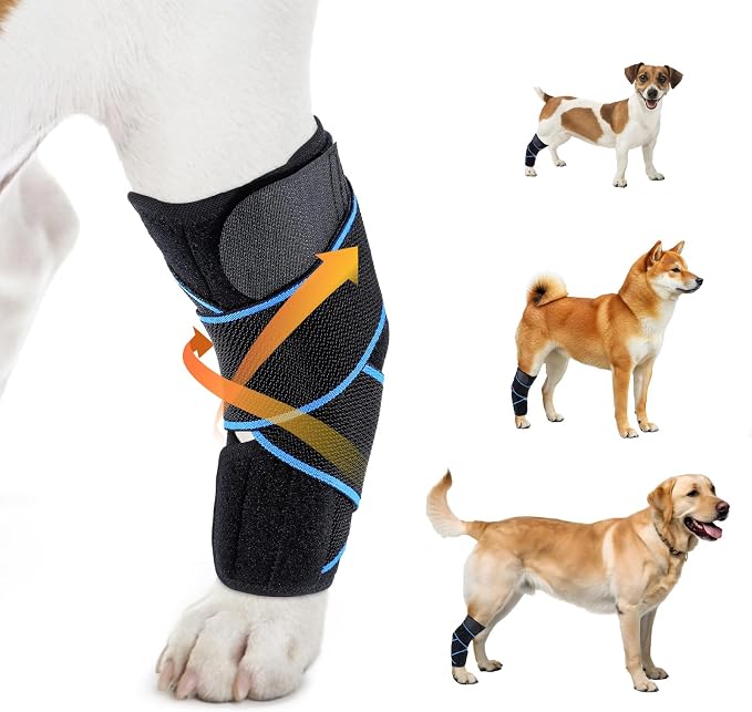 Dog Knee Brace for ACL Tear, Arthritis, Patella Luxation & Post-Surgery Support - Breathable, Adjustable Canine Leg Brace for Pain Relief & Mobility, for Medium & Large Dogs(L)