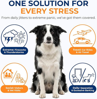Calming Chews for Dogs 90pc Dog Calming Chews - Anxiety Relief Relaxing Calm Dog Melatonin Treats,Bites for Puppy,Small-Large Dogs Anxiety,Daily Stress & Separation,Fireworks, Thunder, Barking Support