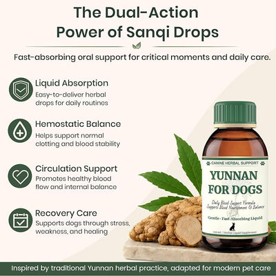 yunan Sanqi Liquid for Dogs – Pure Herbal Oral Quick Stop Bleeding for Dogs & Daily Blood Support for Hemangiosarcoma, Hemoabdomen, Ulcers, Post-Surgery Recovery & Chronic Care – 120ml
