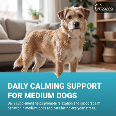 Vetoquinol Zylkene - Calming Oral Support for Medium Dogs & Large Cats - Supports Behavior & Occasional Anxiety - for Boarding, Vet Visits & Celebrations - Non-Drowsy & Lactose-Free - 14 Capsules