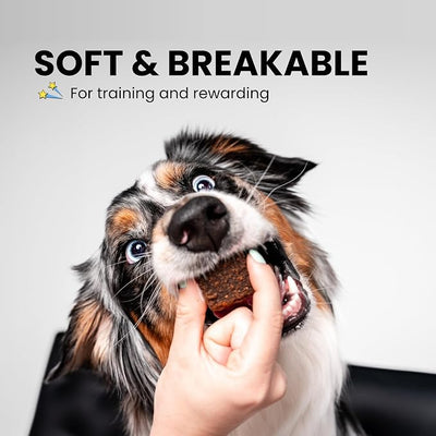 Fish Dog Treats for Skin & Coat, Healthy Soft Chews with Real Pumpkin, Grain Free, Easy to Digest for Training or Rewards for Small, Large Dogs, Natural Ingredients for Sensitive Stomach, Made in USA